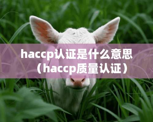 haccp认证是什么意思（haccp质量认证）