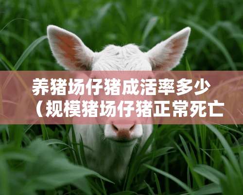 养猪场仔猪成活率多少（规模猪场仔猪正常死亡率）