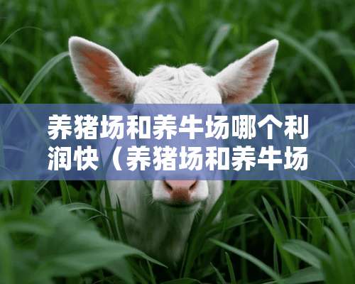 养猪场和养牛场哪个利润快（养猪场和养牛场哪个利润快一点）