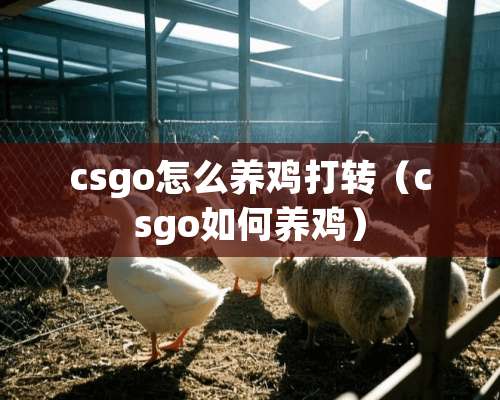 csgo怎么养鸡打转（csgo如何养鸡）