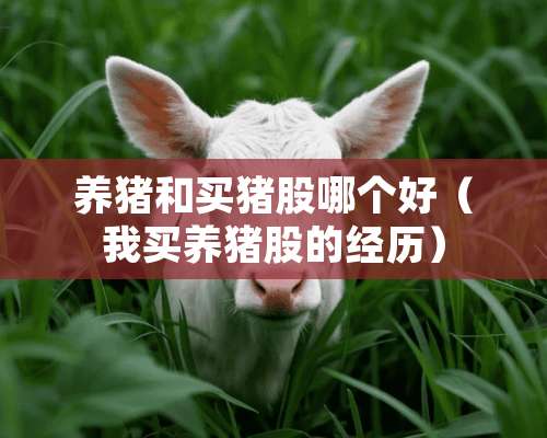 养猪和买猪股哪个好（我买养猪股的经历）