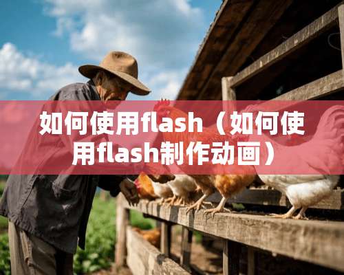 如何使用flash（如何使用flash制作动画）