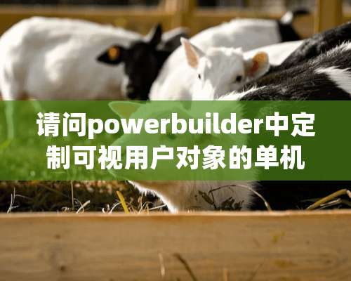 请问powerbuilder中定制可视用户对象的单机事件怎么定义啊，id好是不是选pbm_clicked.