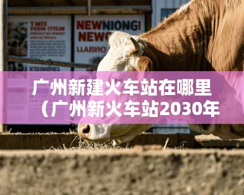 广州新建火车站在哪里（广州新火车站2030年建成）