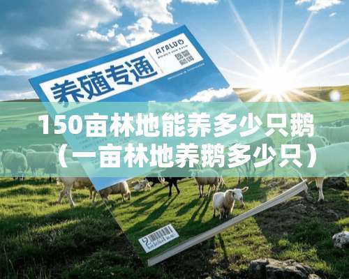 150亩林地能养多少只鹅（一亩林地养鹅多少只）