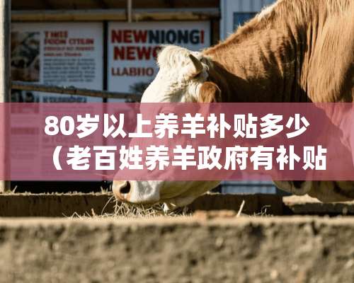 80岁以上养羊补贴多少（老百姓养羊**有补贴吗）