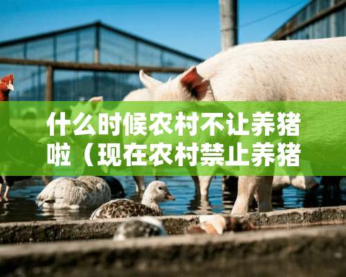 什么时候农村不让养猪啦（现在农村禁止养猪了吗）