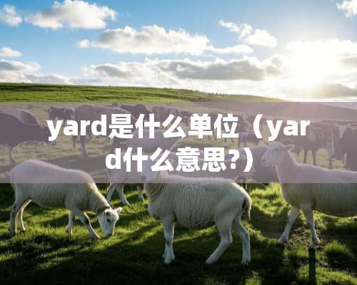 yard是什么单位（yard什么意思?）