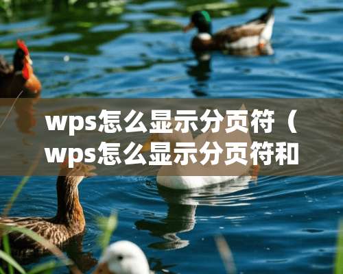 wps怎么显示分页符（wps怎么显示分页符和删除）