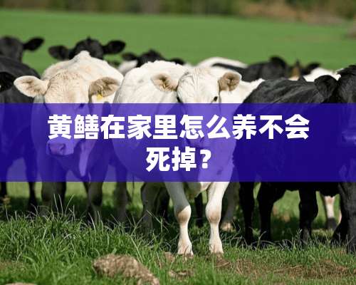 黄鳝在家里怎么养不会死掉？