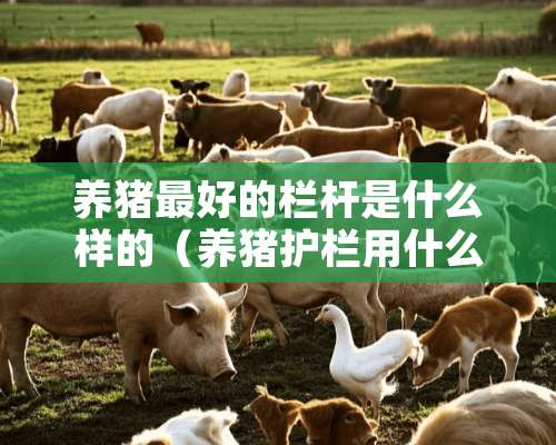 养猪最好的栏杆是什么样的（养猪护栏用什么省钱）