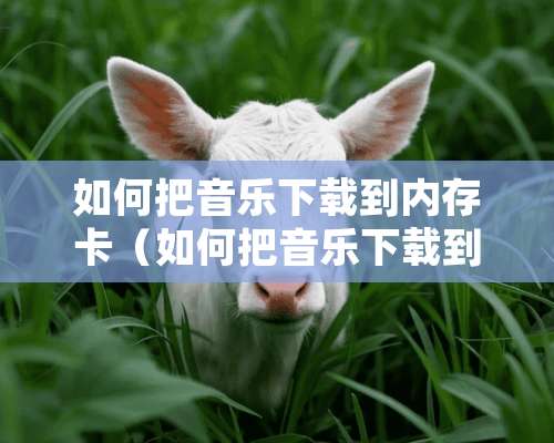 如何把音乐下载到内存卡（如何把音乐下载到内存卡酷狗）