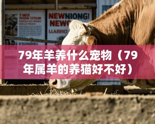 79年羊养什么宠物（79年属羊的养猫好不好）