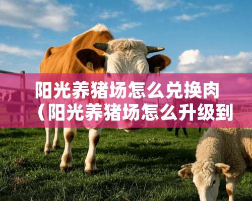 阳光养猪场怎么兑换肉（阳光养猪场怎么升级到最新版本）