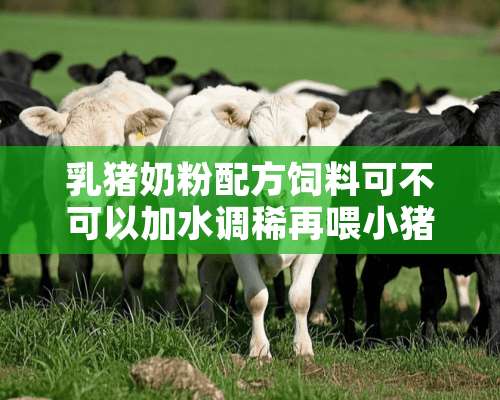 乳猪奶粉配方饲料可不可以加水调稀再喂小猪吗