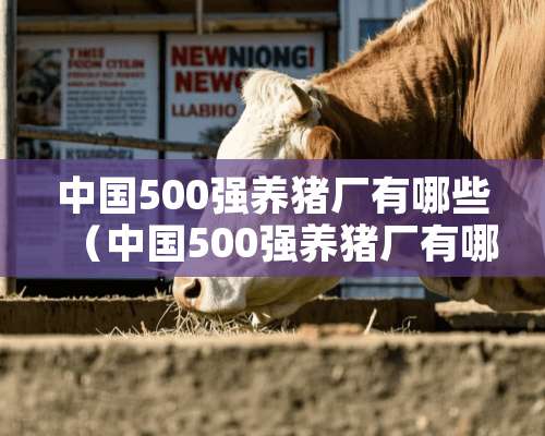 中国500强养猪厂有哪些（中国500强养猪厂有哪些公司）