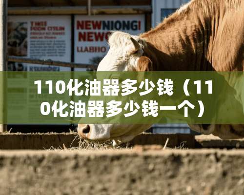 110化油器多少钱（110化油器多少钱一个）