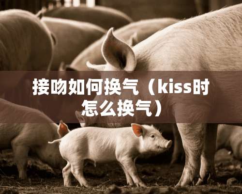 接吻如何换气（kiss时怎么换气）