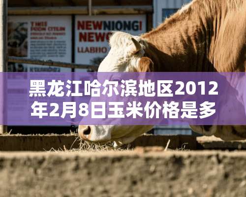 黑龙江哈尔滨地区2012年2月8日玉米价格是多少？