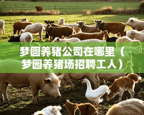 梦圆养猪公司在哪里（梦园养猪场招聘工人）