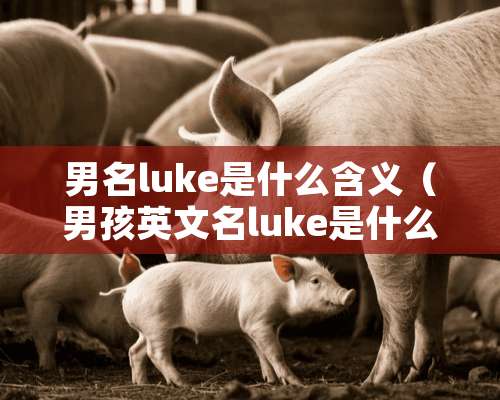 男名luke是什么含义（男孩英文名luke是什么意思）