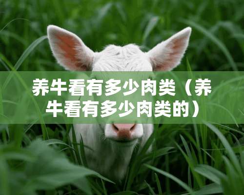 养牛看有多少肉类（养牛看有多少肉类的）