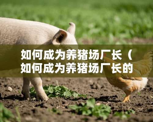 如何成为养猪场厂长（如何成为养猪场厂长的条件）