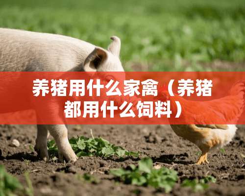 养猪用什么家禽（养猪都用什么饲料）