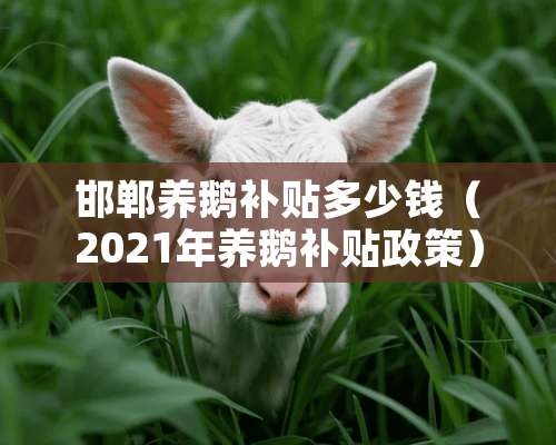 邯郸养鹅补贴多少钱（2021年养鹅补贴政策）