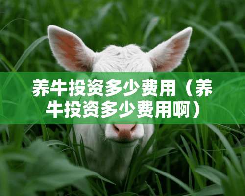 养牛投资多少费用（养牛投资多少费用啊）