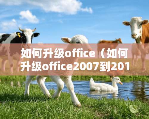 如何升级office（如何升级office2007到2019）