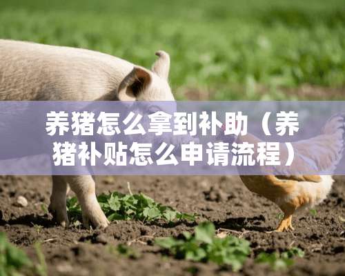 养猪怎么拿到补助（养猪补贴怎么申请流程）