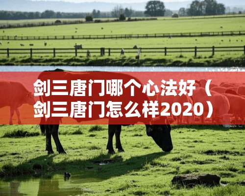 剑三唐门哪个心法好（剑三唐门怎么样2020）