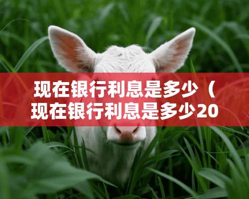 现在银行利息是多少（现在银行利息是多少2024年）