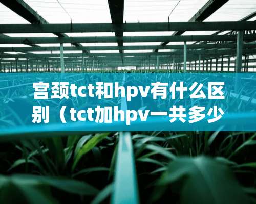 宫颈tct和hpv有什么区别（tct加hpv一共多少钱）