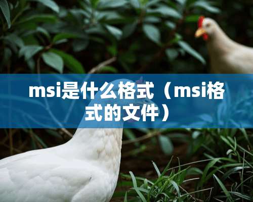 msi是什么格式（msi格式的文件）