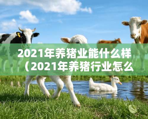 2021年养猪业能什么样（2021年养猪行业怎么样）