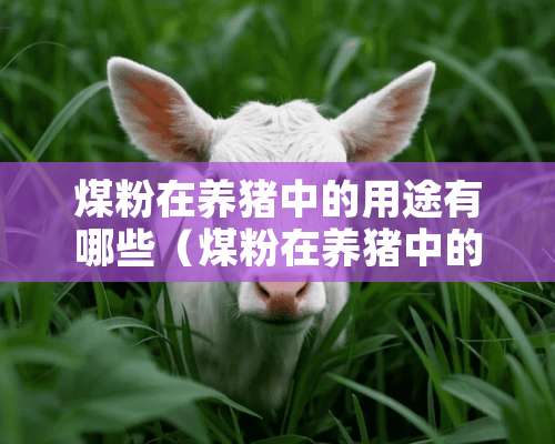 煤粉在养猪中的用途有哪些（煤粉在养猪中的用途有哪些呢）