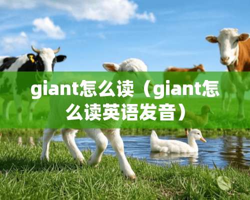 giant怎么读（giant怎么读英语发音）