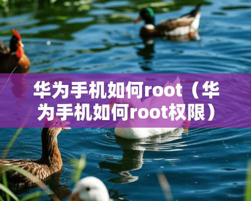 华为手机如何root（华为手机如何root权限）