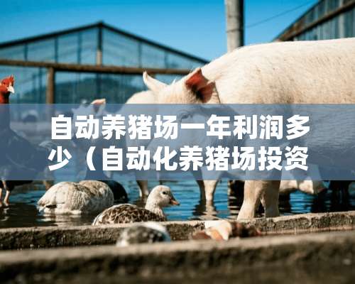 自动养猪场一年利润多少（自动化养猪场投资成本）