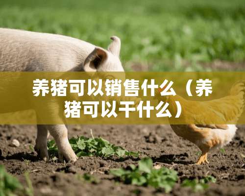 养猪可以销售什么（养猪可以干什么）