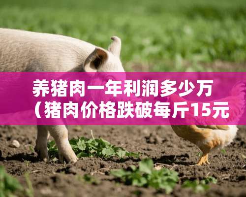 养猪肉一年利润多少万（猪肉价格跌破每斤15元!养猪还能赚钱吗?）