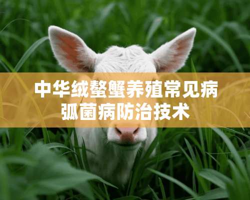 中华绒螯蟹养殖常见病弧菌病防治技术