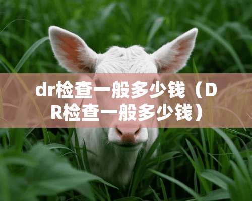 dr检查一般多少钱（DR检查一般多少钱）