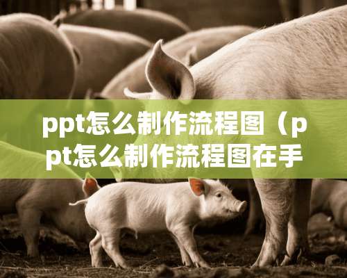 ppt怎么制作流程图（ppt怎么制作流程图在手机上）