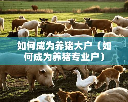 如何成为养猪大户（如何成为养猪专业户）