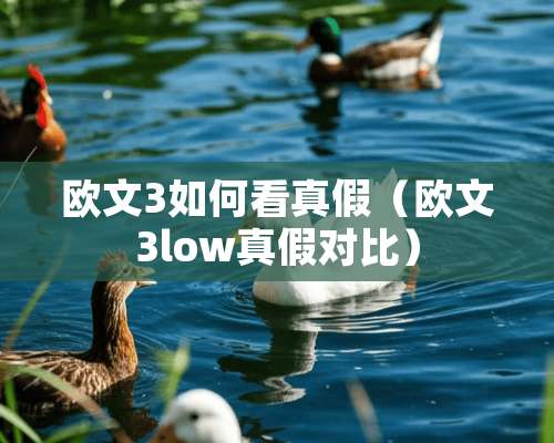 欧文3如何看真假（欧文3low真假对比）