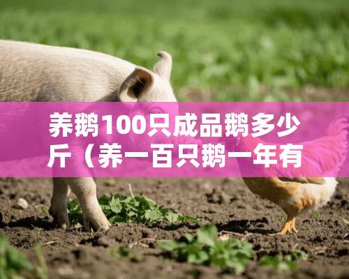 养鹅100只成品鹅多少斤（养一百只鹅一年有多少利润）