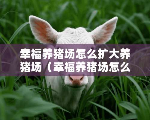 幸福养猪场怎么扩大养猪场（幸福养猪场怎么扩大养猪场面积）